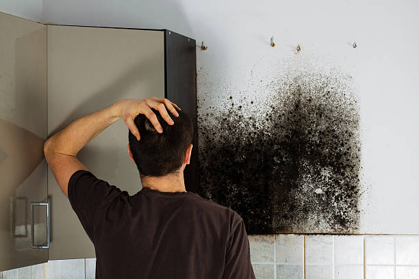 Best Crawl Space Mold Remediation in Bonadelle Ranchos, CA